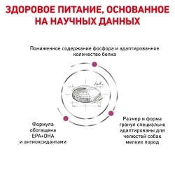 Лечебный сухой корм для собак Royal Canin Renal Small Dog (для собак до 10 кг с хронической болезнью почек) Image 2